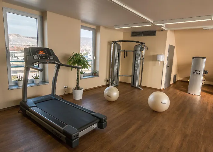 Hotel Budapest-budaoers By Ihg 4*